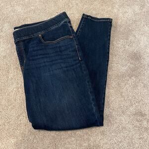 Lane Bryant Women's Plus Size Pull on Skinny Jean Medium Wash Size‎ 22